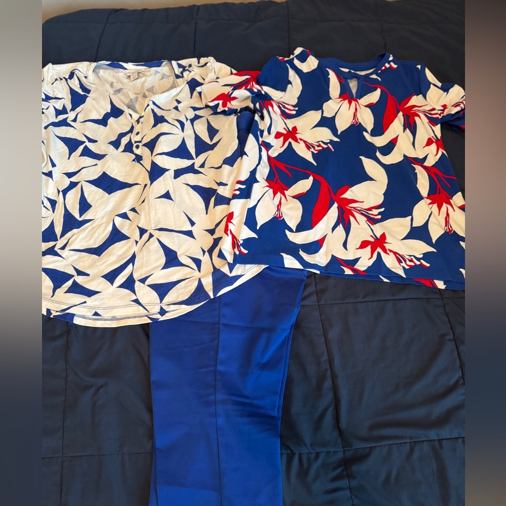 Floral Blue and White Blouse with Red Accents paired with Blue Ankle Pants